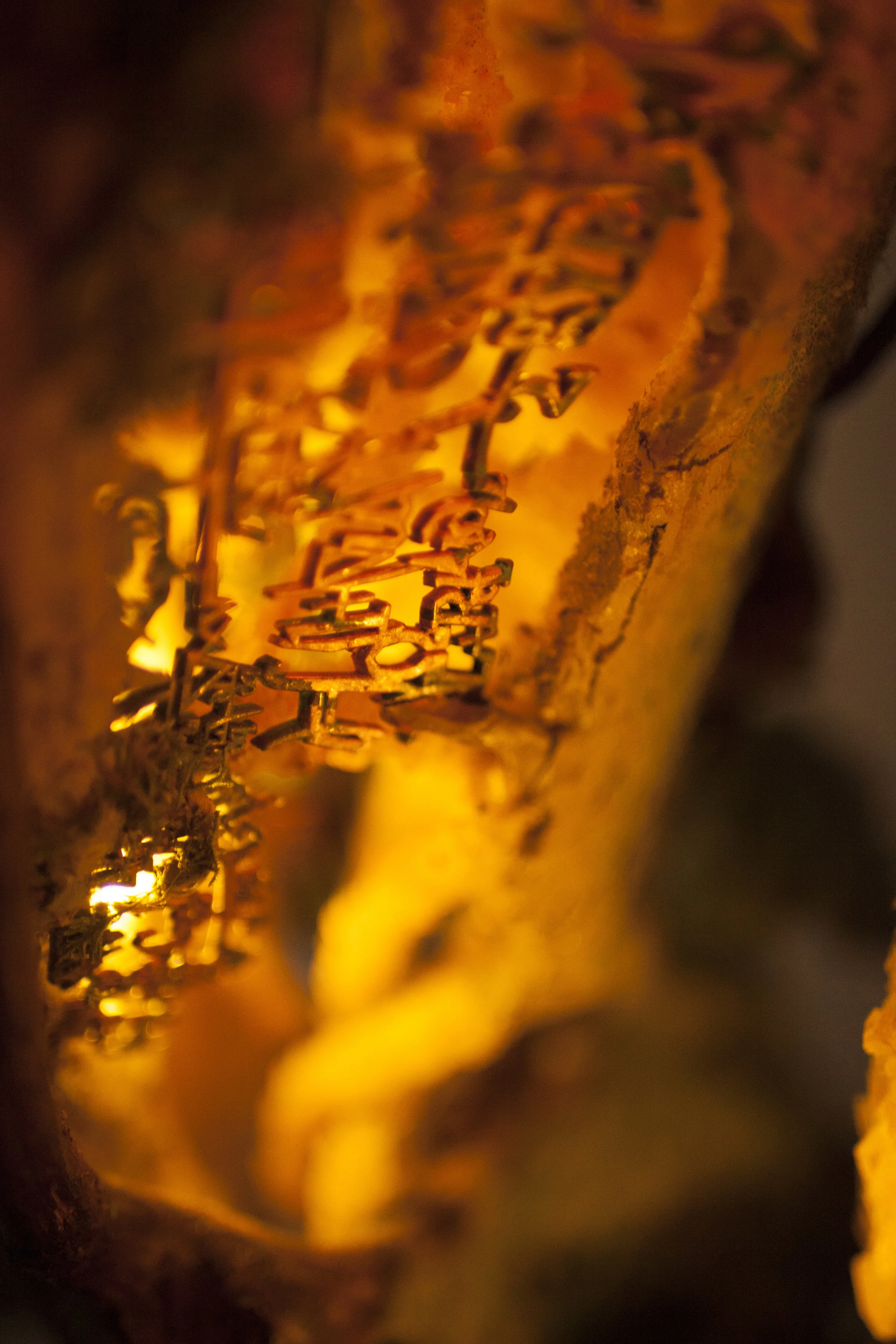 DarkDetail4 copy.jpg