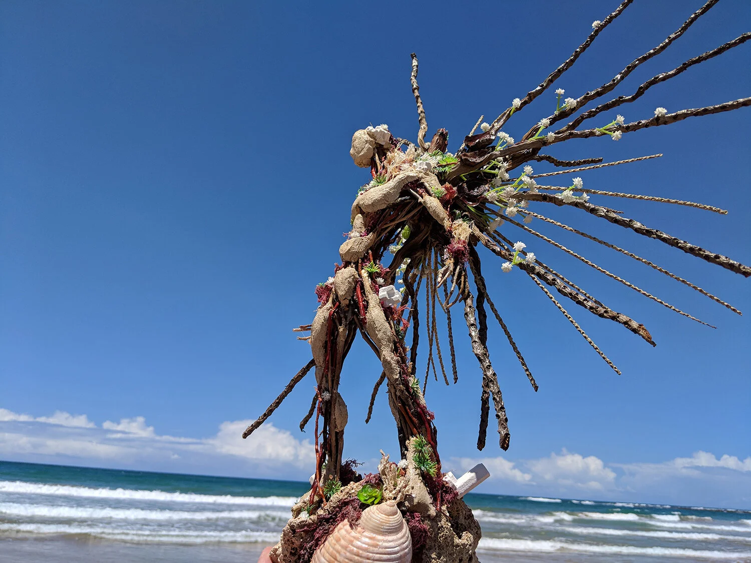 IMG_20180321_123558 copy.jpg