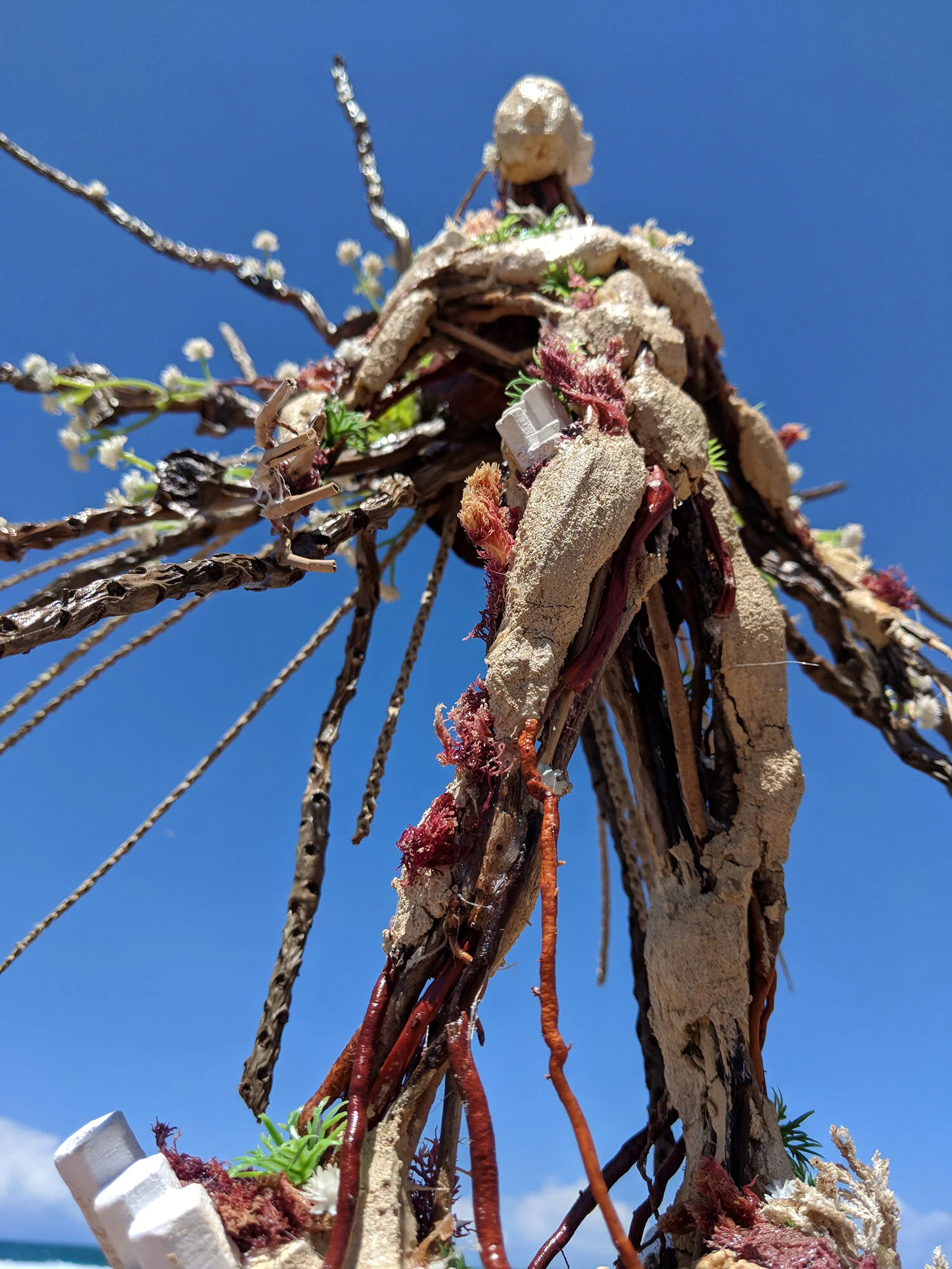 Protetor Dos Corais 3 copy.jpg