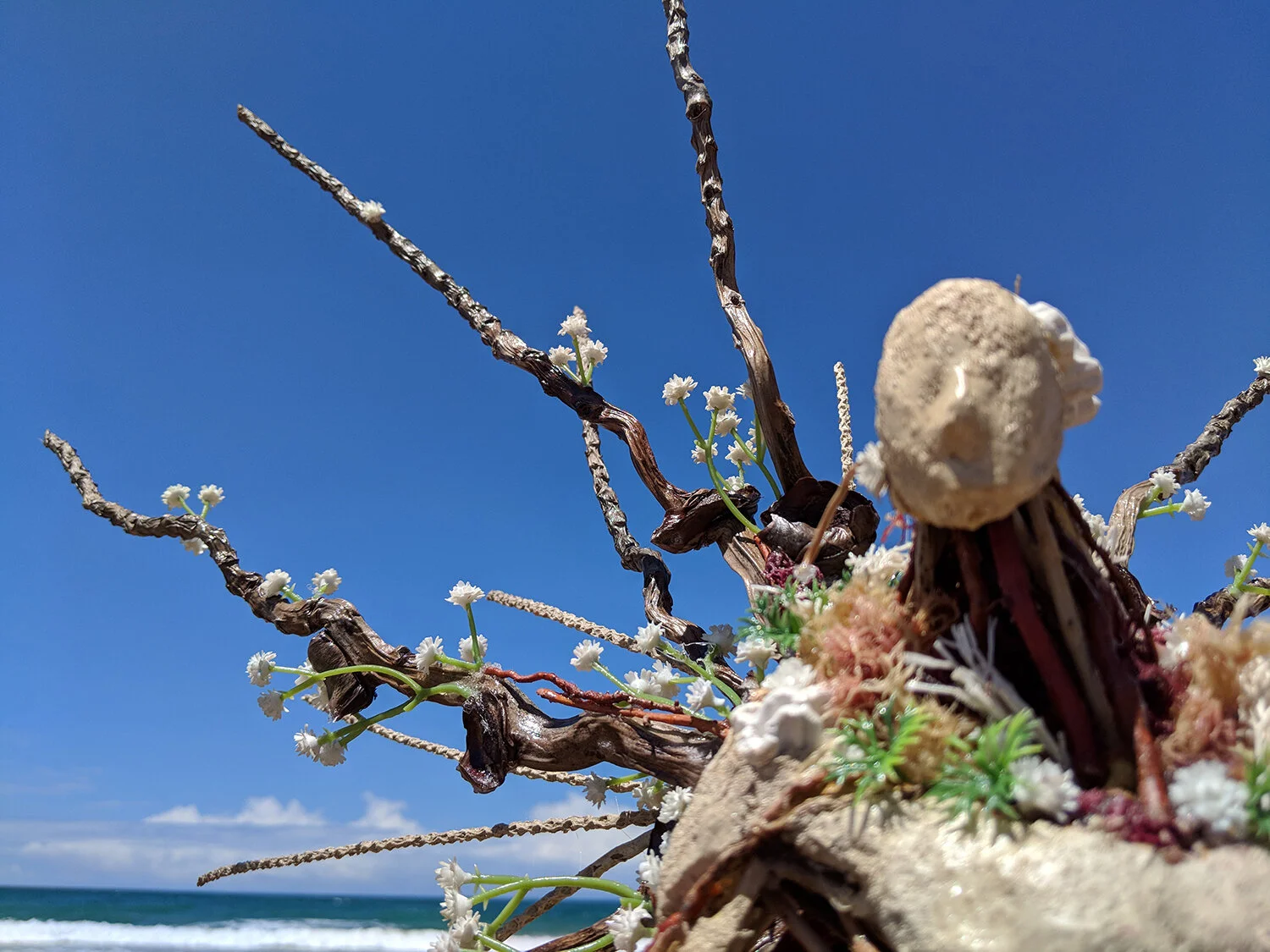 Protetor Dos Corais 4 copy.jpg