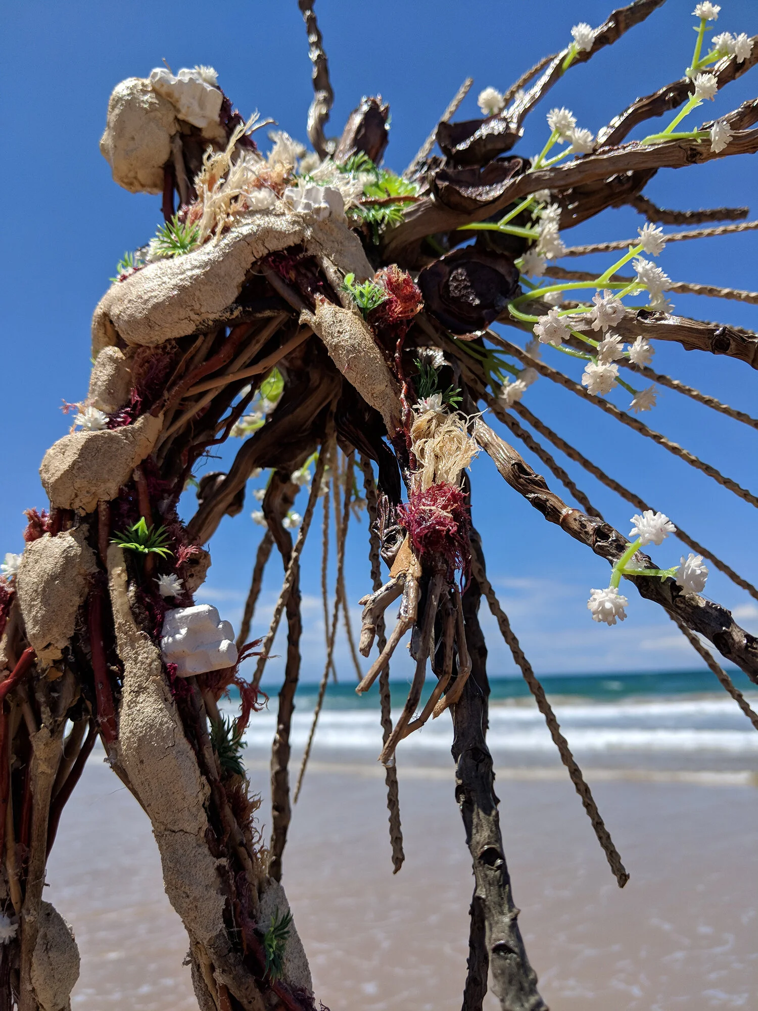 Protetor Dos Corais 5 copy.jpg