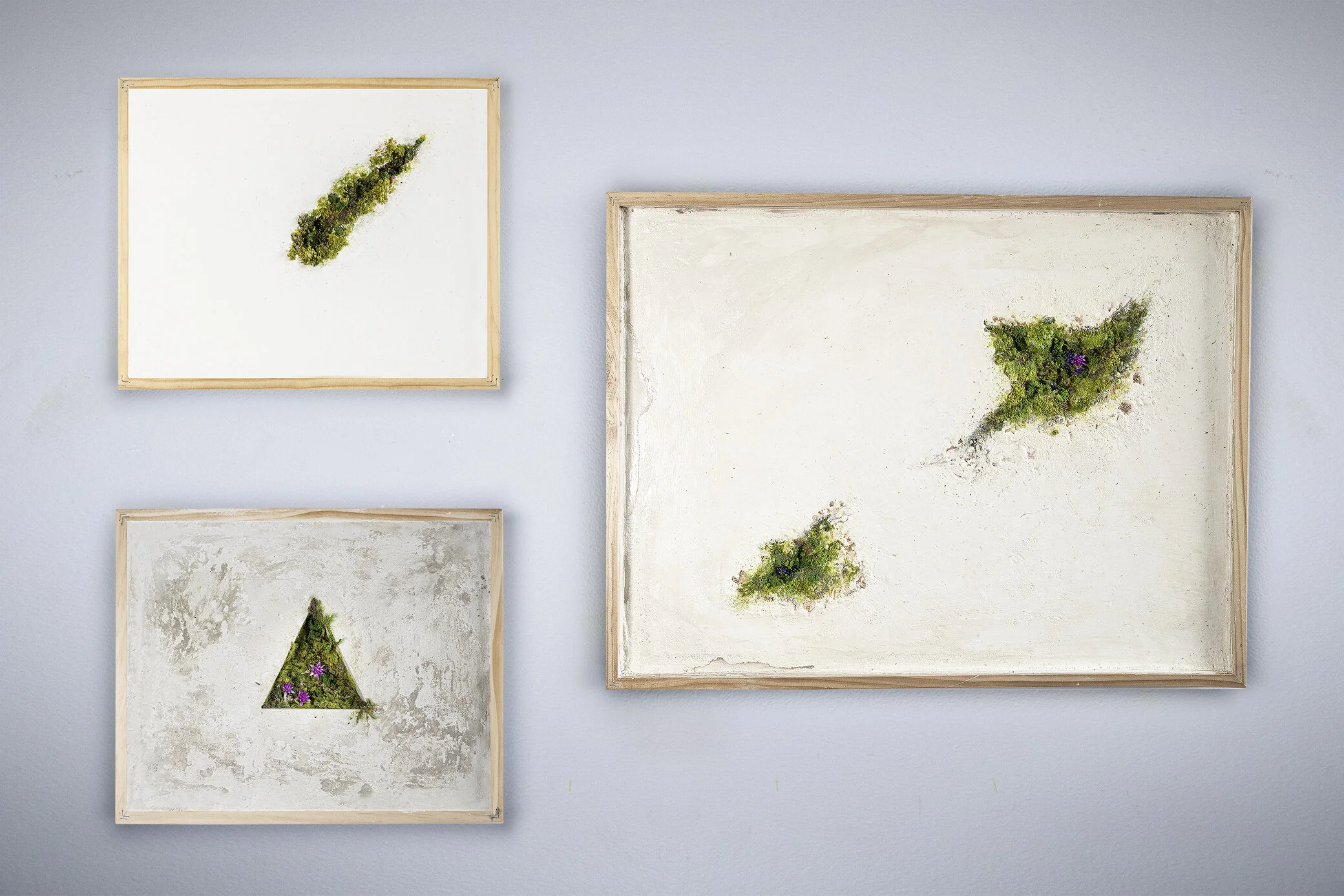 all together copy.jpg