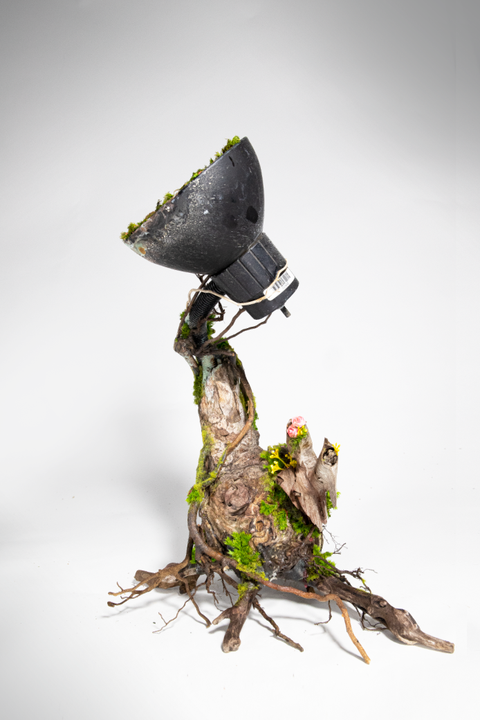 2020-10-02 17_08_54-.png