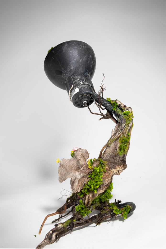 2020-10-02 17_09_07-.png