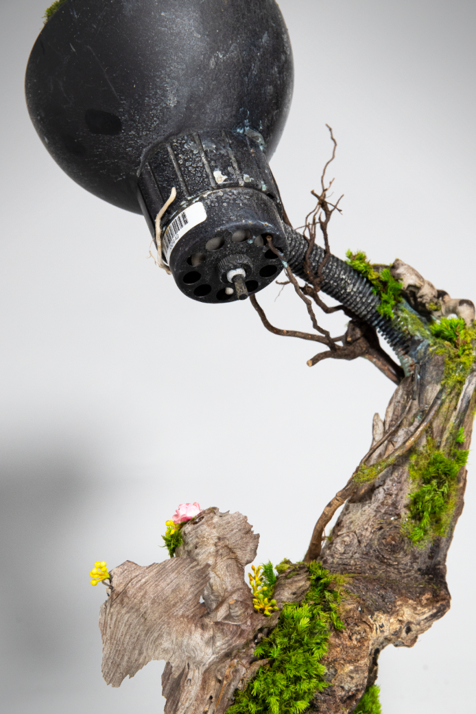 2020-10-02 17_11_38-.png