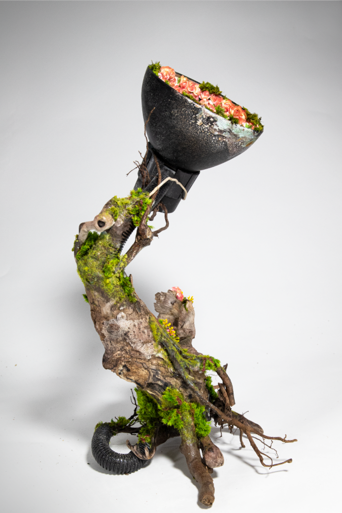 2020-10-02 17_11_53-.png