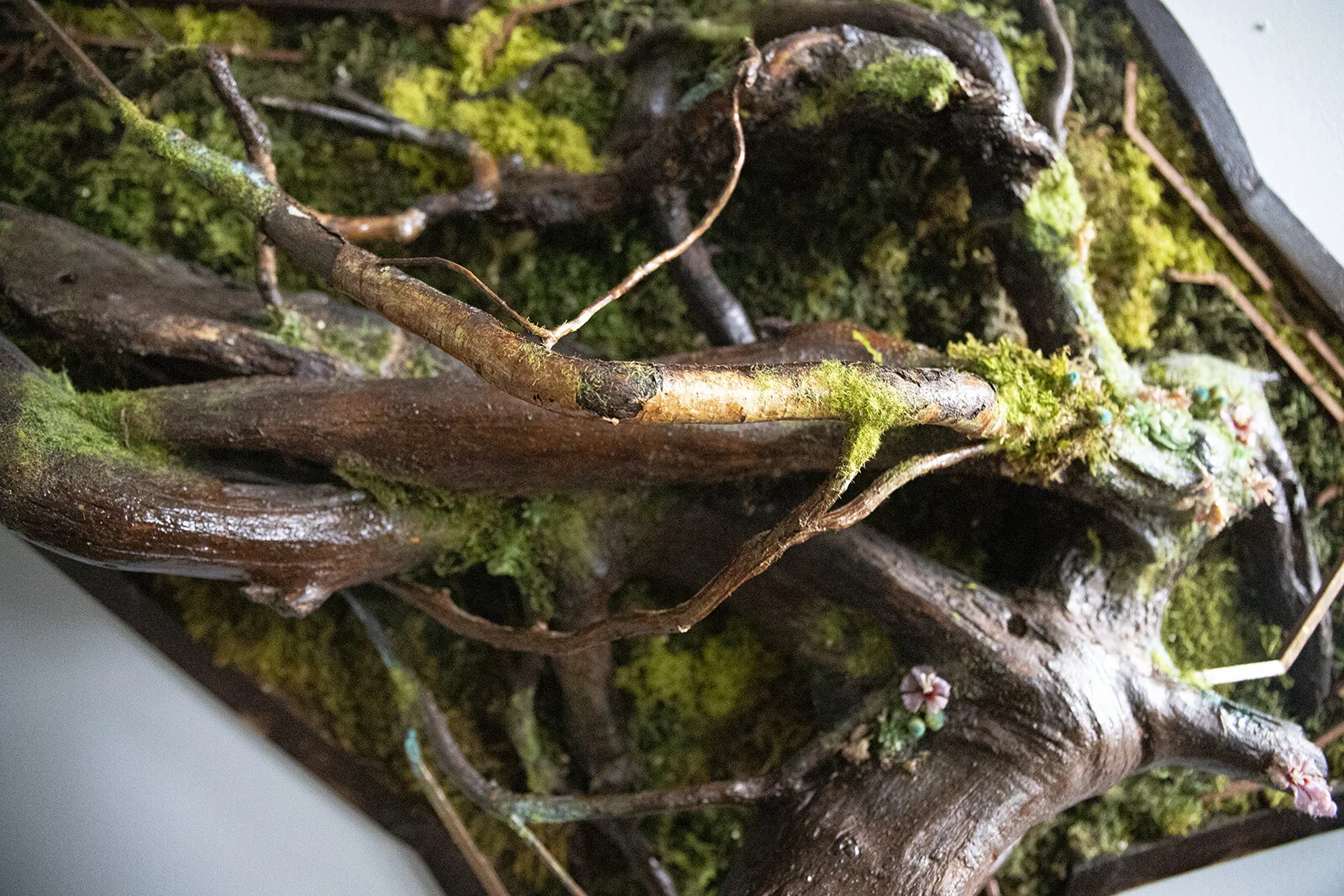 Symbiotic2a copy.jpg