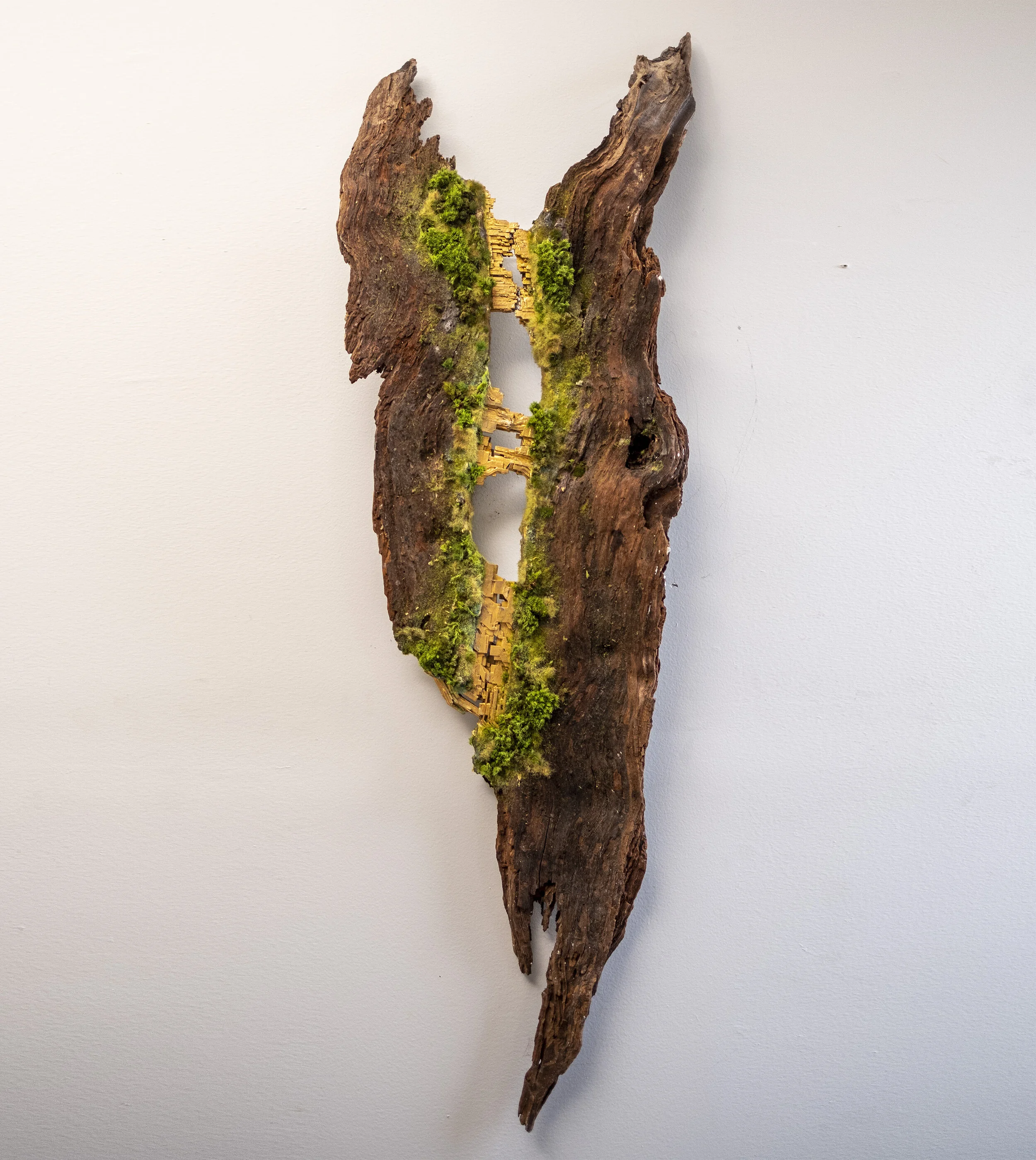 neogrowthflat1 copy.jpg