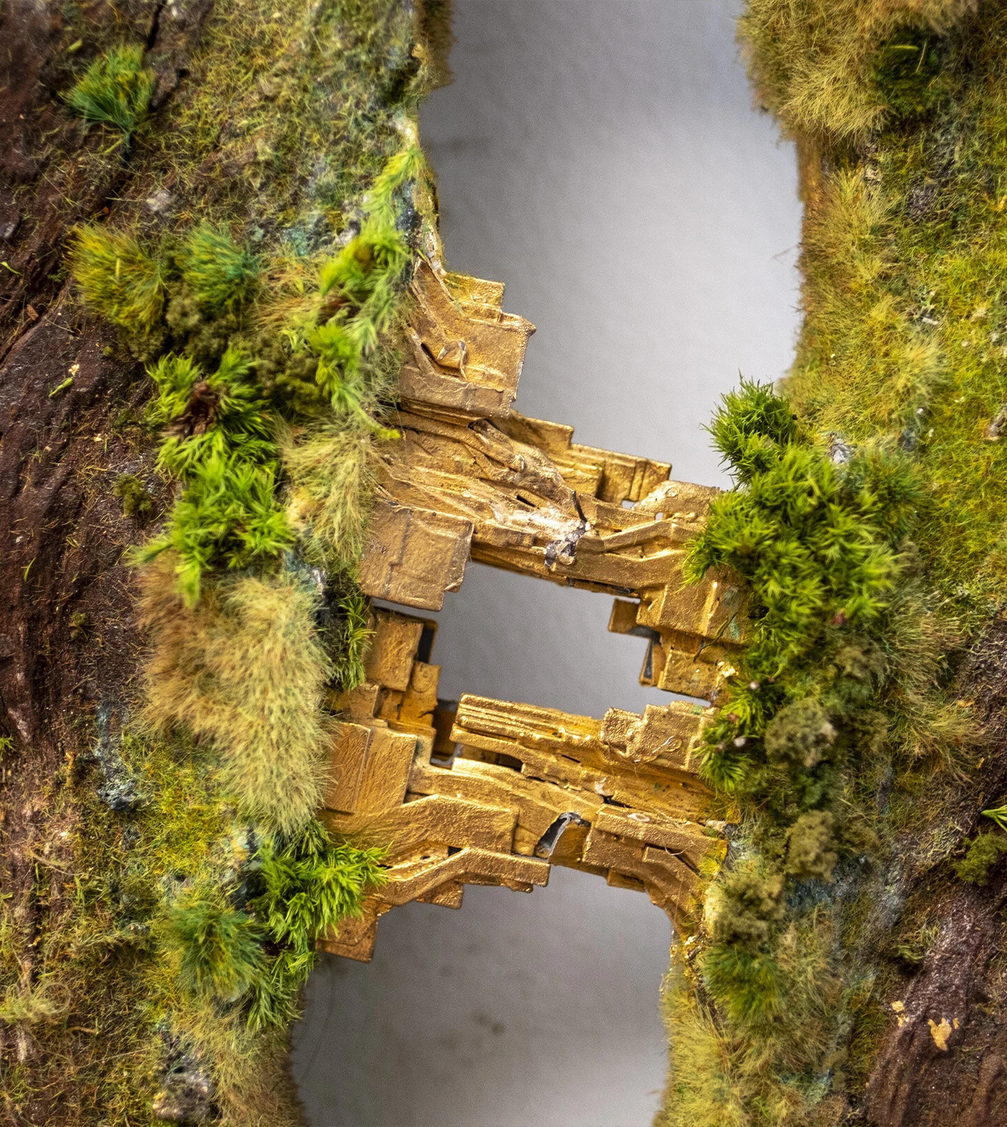 neogrowthflath3 copy.jpg