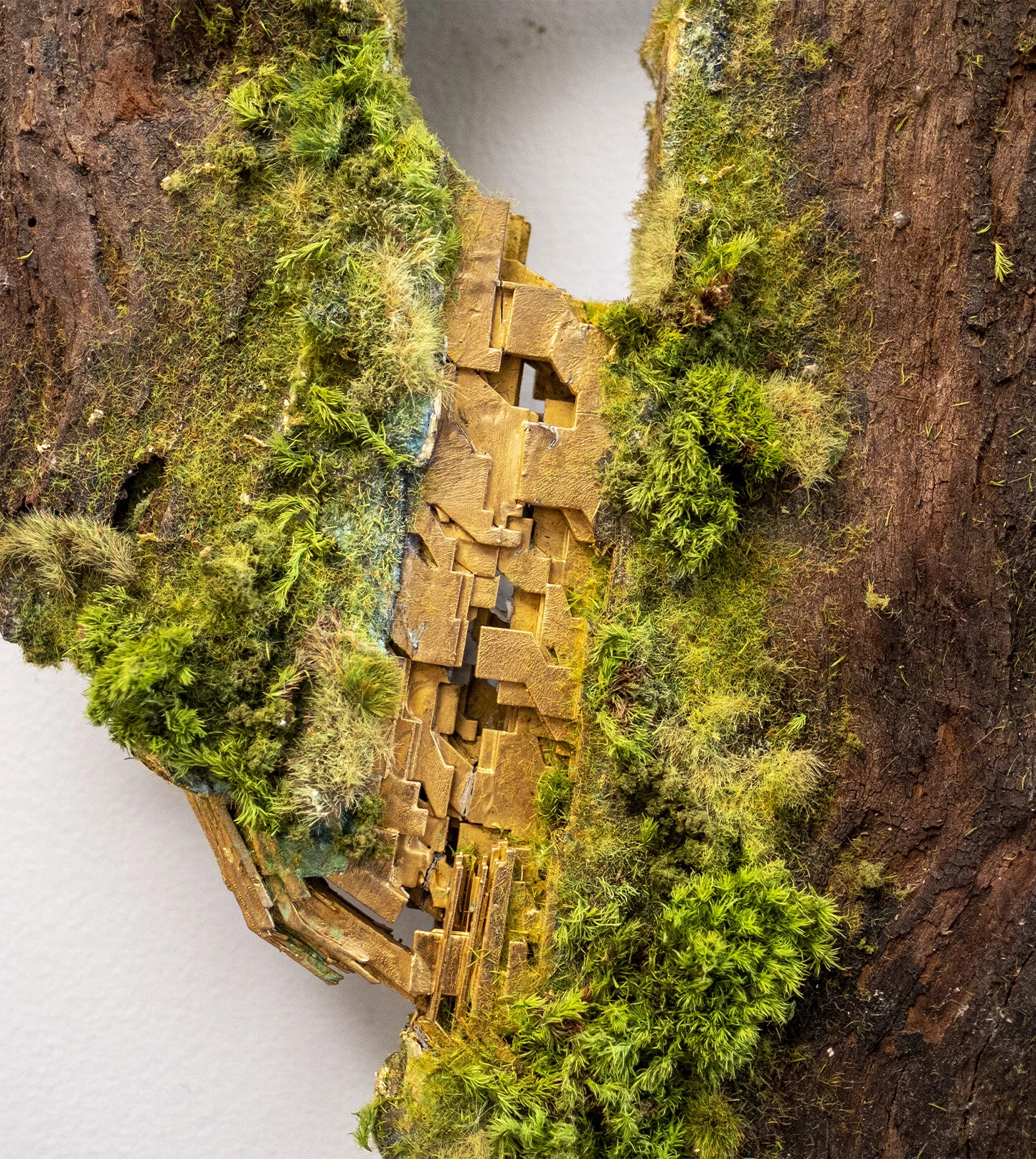 neogrowthflath5 copy.jpg