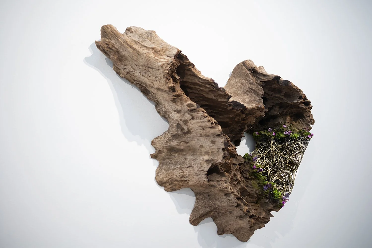 GARRETTKANE-GALLERY_13 copy.jpg