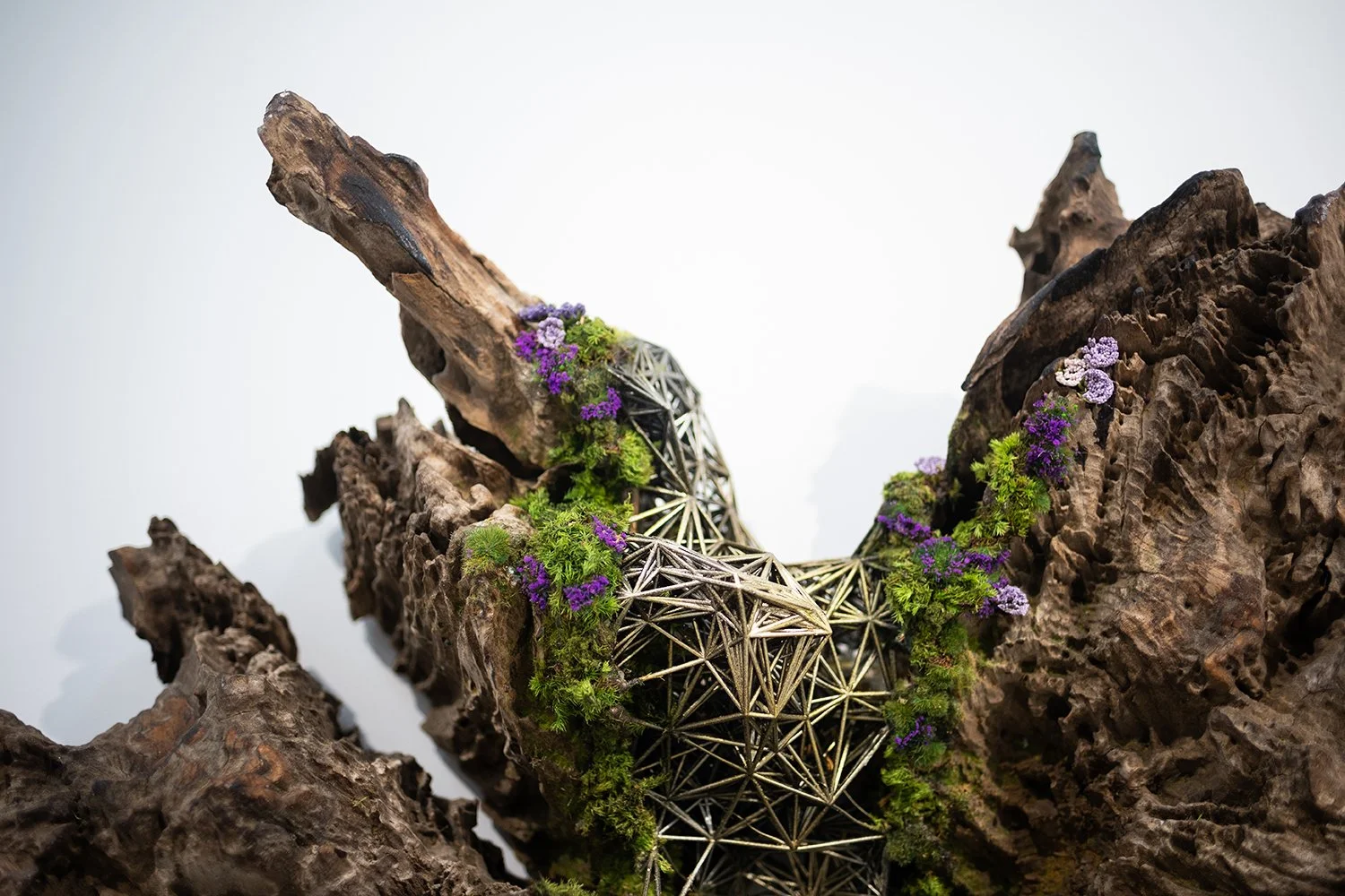 GARRETTKANE-GALLERY_19 copy.jpg